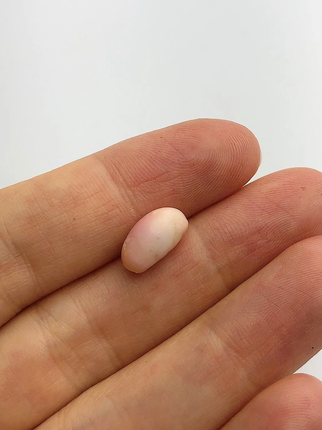 Conch Pearl Loose 12.1mm x 6.5mm No. 3
