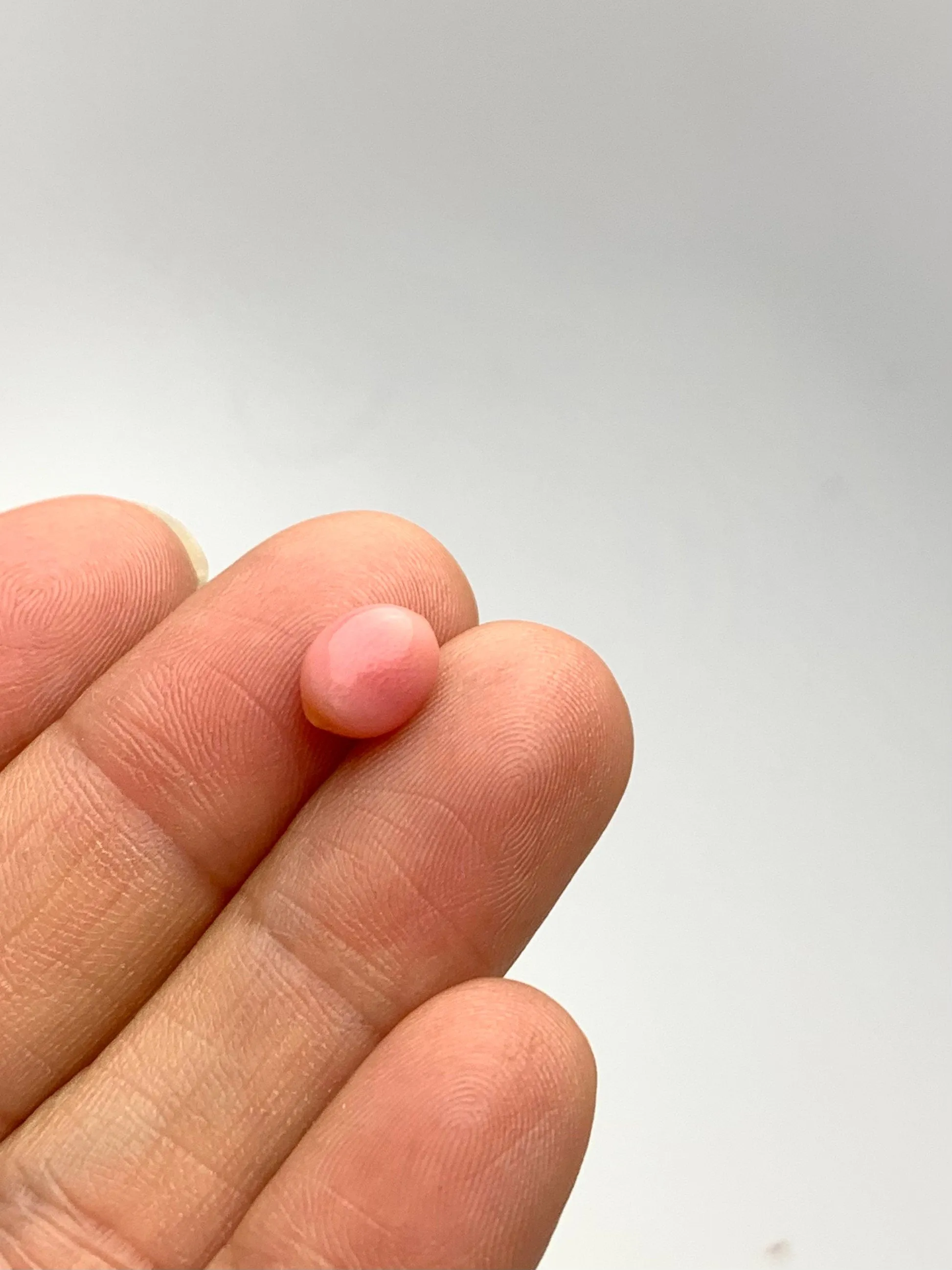 Conch Pearl Loose 2.47ct No.36