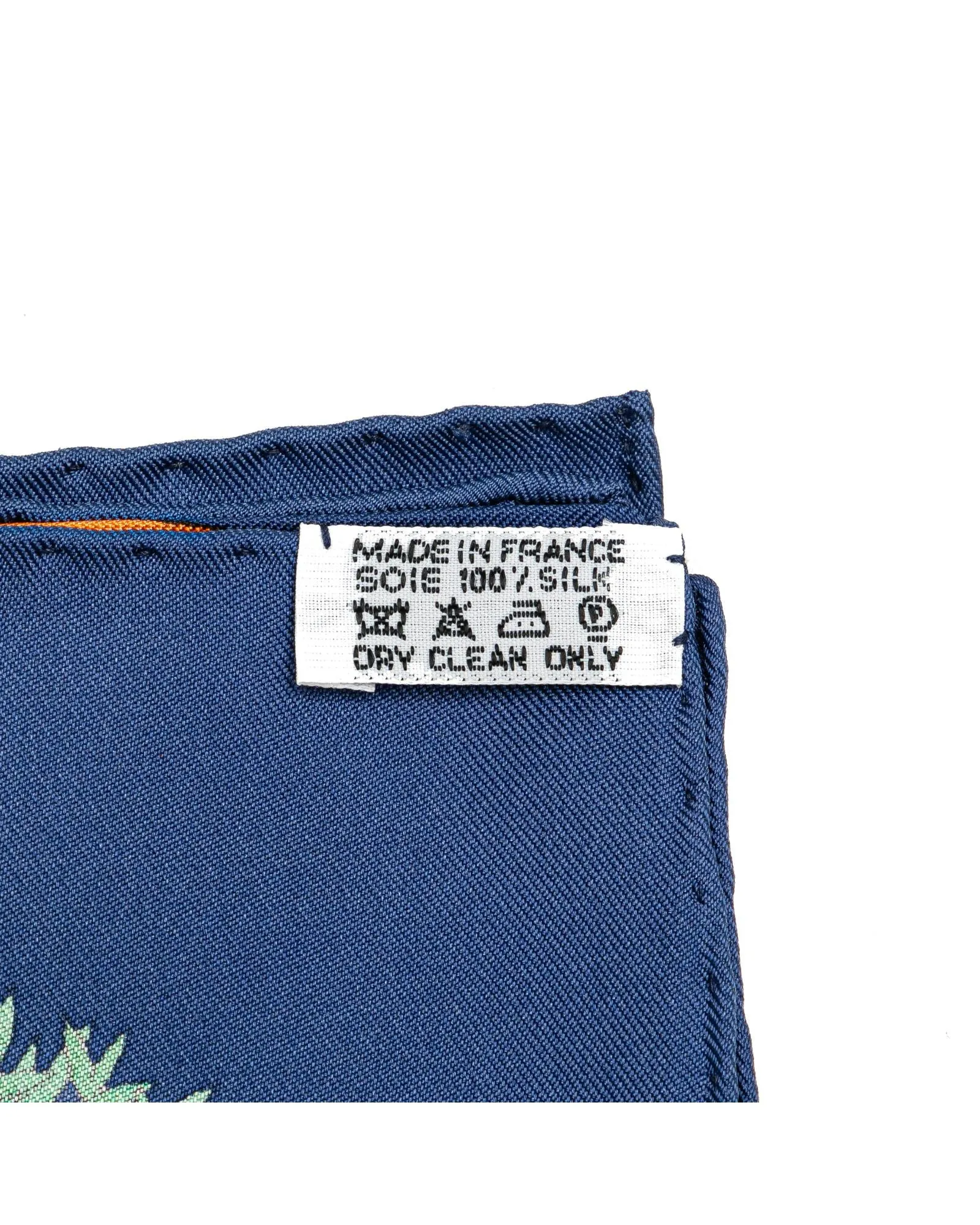 Paridaiza Print 100% Silk Scarf